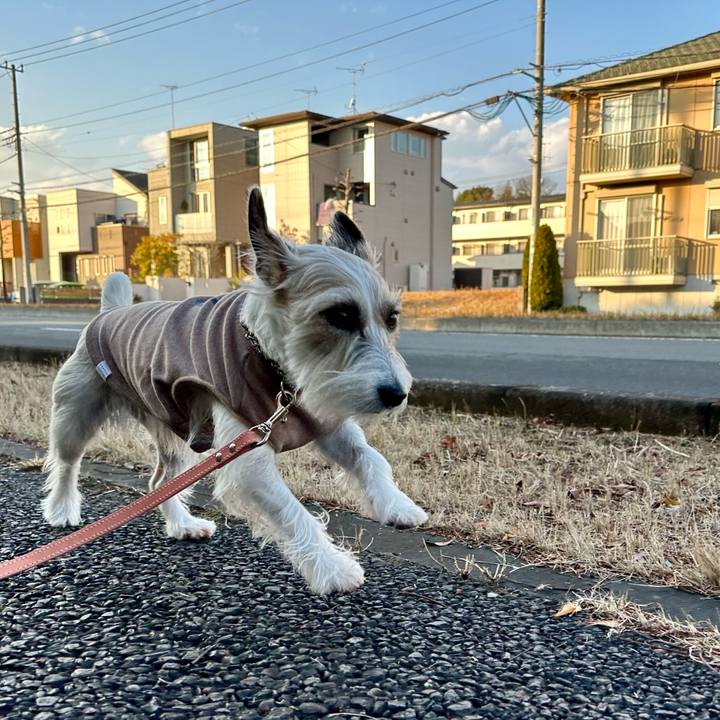 1d2f4671 e63f 4f06 9b12 6b664caddc0f 1704022148411