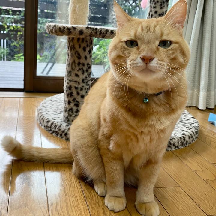 1d2f66a4 e438 4bf7 9605 5a19c7fff3f0 1631619931987