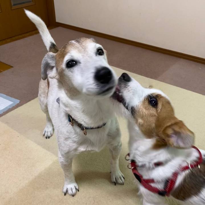 1d2f7fde 9e65 4929 9688 b8b8e632c5d9 1619922450236