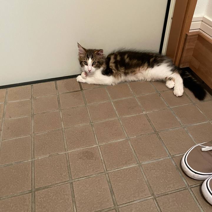 1d2f9416 ded5 47b3 9365 6b15624641e8 1633902636117