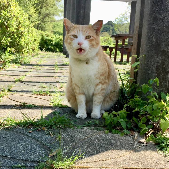 1d2fd566 1fcf 4228 abde 1cddc41bd29b 1523421709334