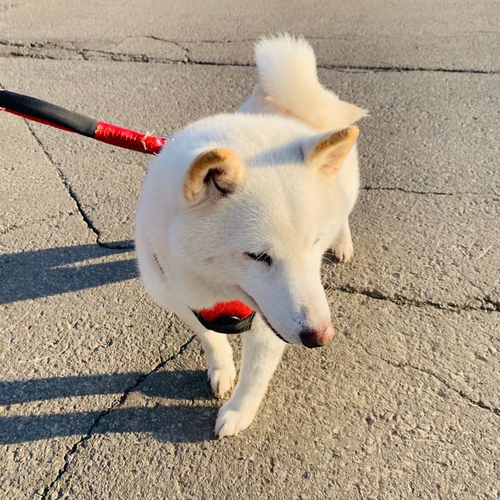 1d30468d c1d4 40b7 8f66 6b7e0e6af42c 1679264318887