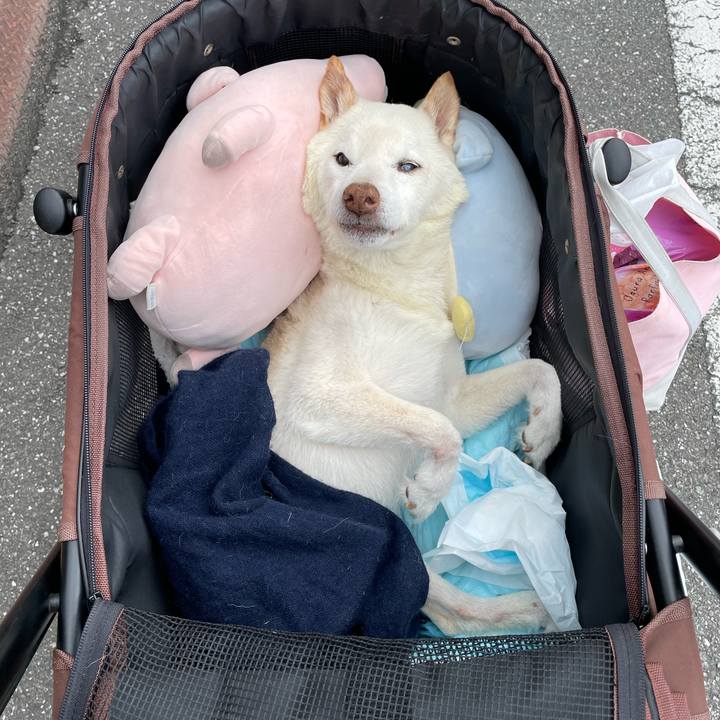 1d30652b e634 4c74 b9fc f2b9c6e460a5 1679120365880