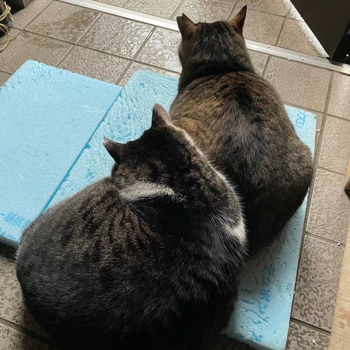 1d306acb c3d5 460a a10e 97c0c1330704 1613359315681