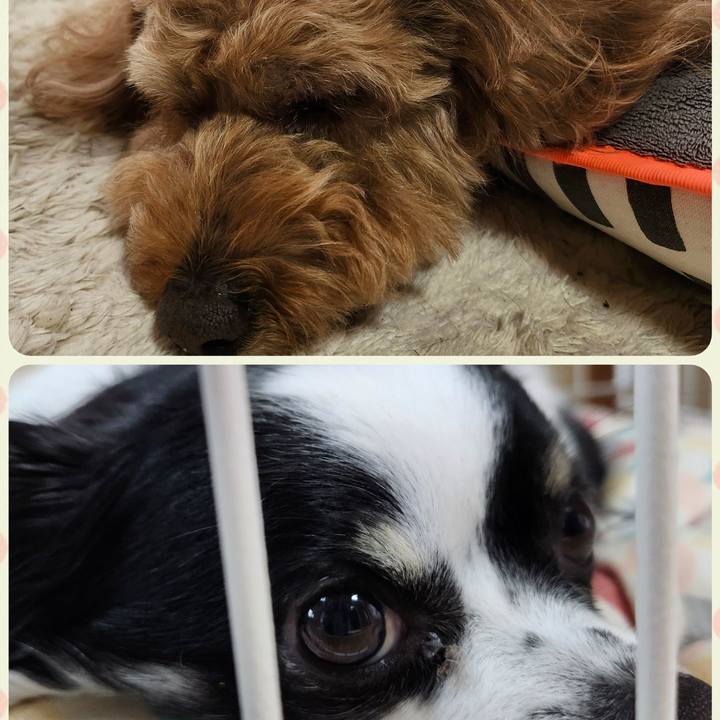 1d30715a 0f85 47b8 b26a 71068be5b9ef 1768433422768