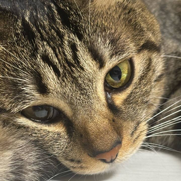 1d30d206 c532 4ae9 a134 4902db84b0e1 1766802299942