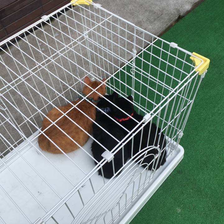 1d30e997 e748 43d1 9a1f 0da235a6ce7e 1537679021657