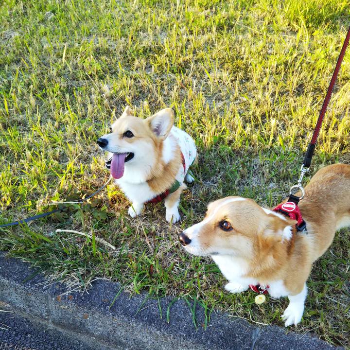 1d311b5b facc 4027 aeb9 52d7641530ce 1572689644544