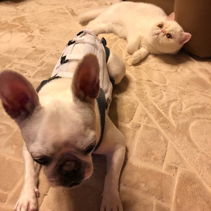 1d312fa9 cbf3 4954 8787 95c0652c1b0a 1564150654964