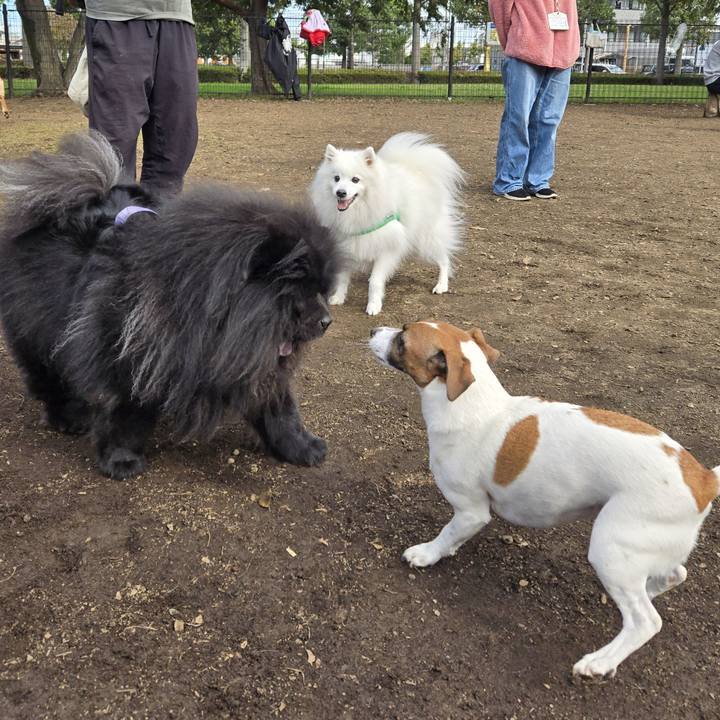 1d315f0b cfc2 4b69 be16 73a748ea29c1 1762051861065