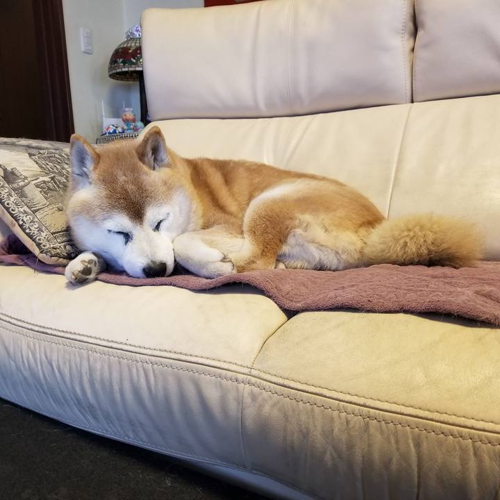 1d3163a2 1efd 42bc 9801 f9d321a286b7 1737761123607