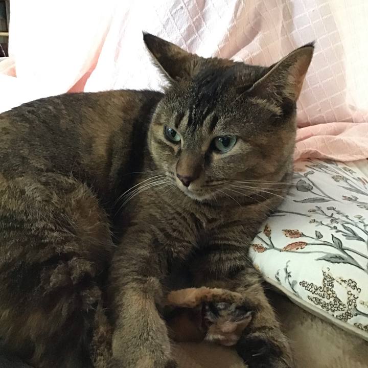 1d316563 128d 4b98 94ea 71061b91146f 1698311124678