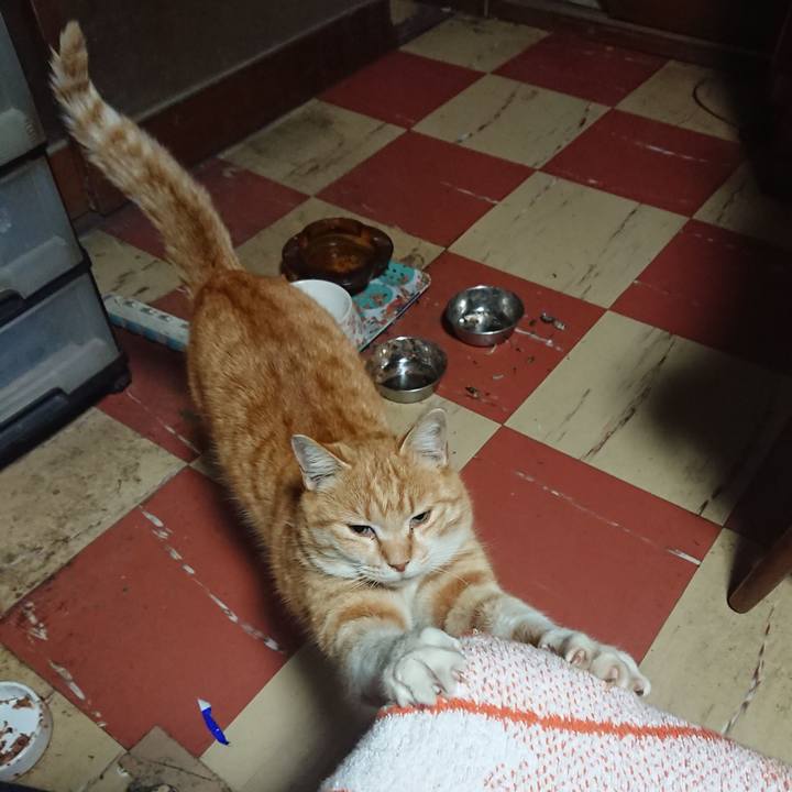 1d31847c e44f 468c b77c dd8f3f50604f 1584561860908