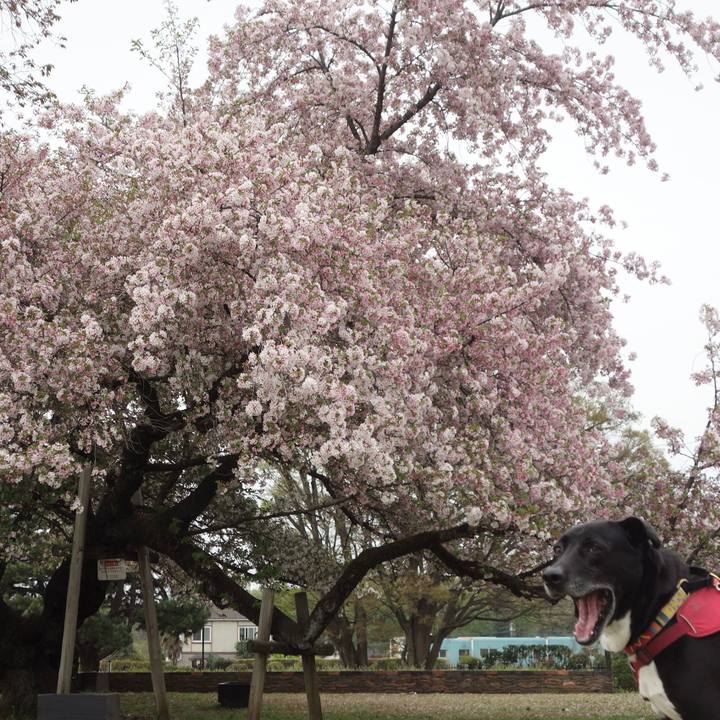 1d318d5e 2e87 47c6 8886 154c58c243ac 1680740237696