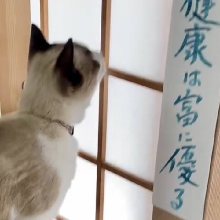 1d3193ab 8842 4280 9698 4afca3ab35bb 1731664247066