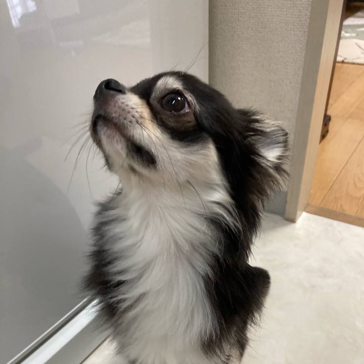 1d31bce7 2d23 4e9b ba6c c1bd2fc2b10a 1623452516289