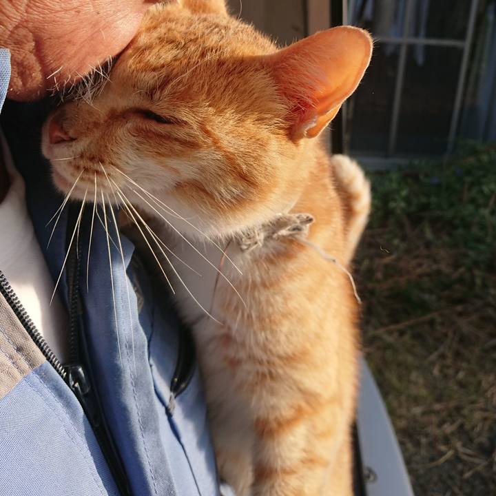 1d31dcb4 444a 4a26 ac9d fbee0b77d11a 1591479459482