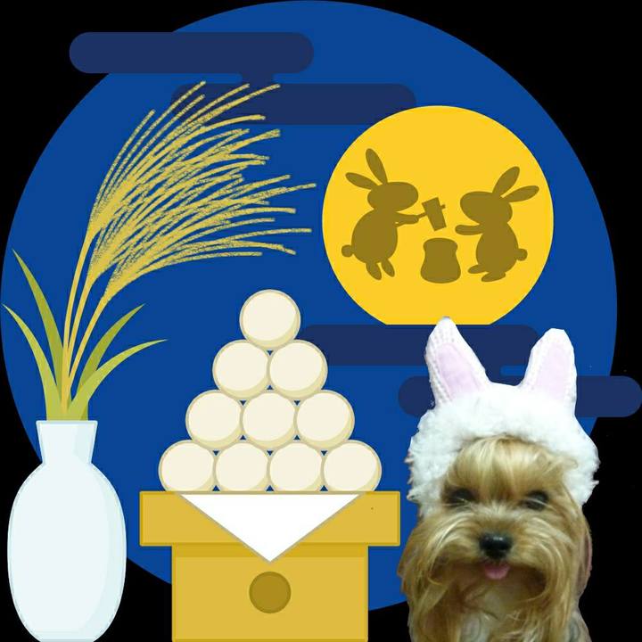 1d31e4b6 af8c 49a7 b2c6 6f3a71cbbf3e 1568364341371