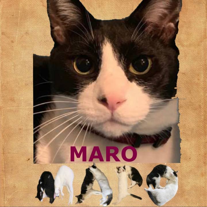 1d31e84f 471b 4599 a0dd 5987fbb02f36 1667904955702