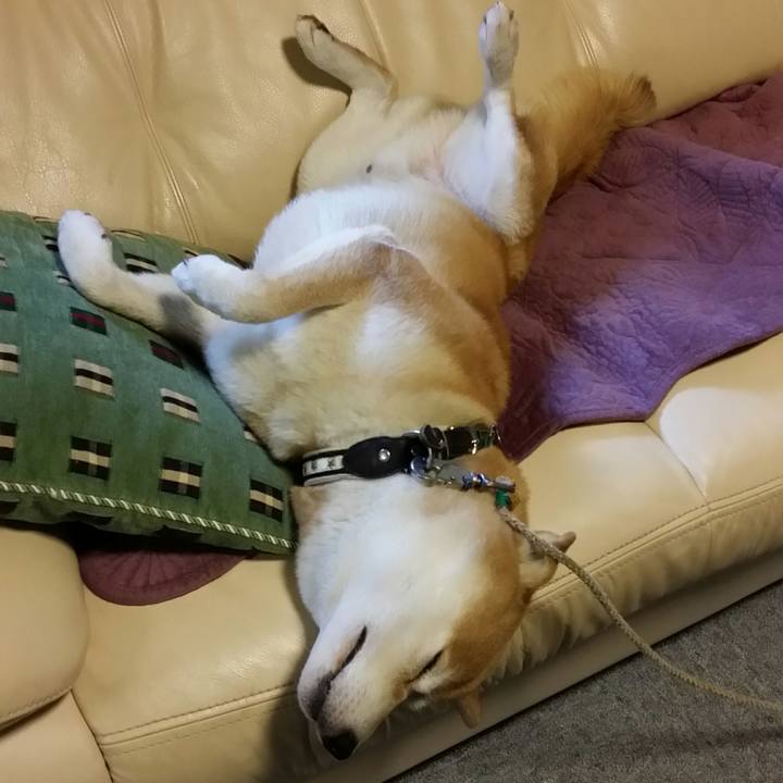 1d31f0f1 8a99 4e6d 83ff 8a4f422c15d7 1508381245569