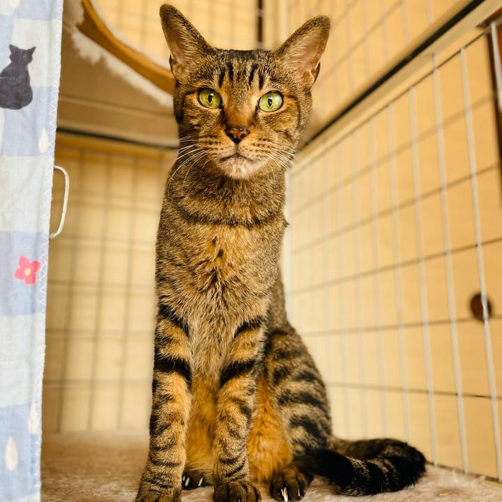 1d323b27 da55 46cf 882b 4bdc398e18aa 1605749445457