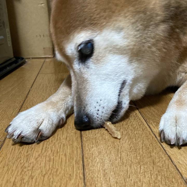 1d32459f 03aa 4c50 9908 4c0900096410 1691320307330