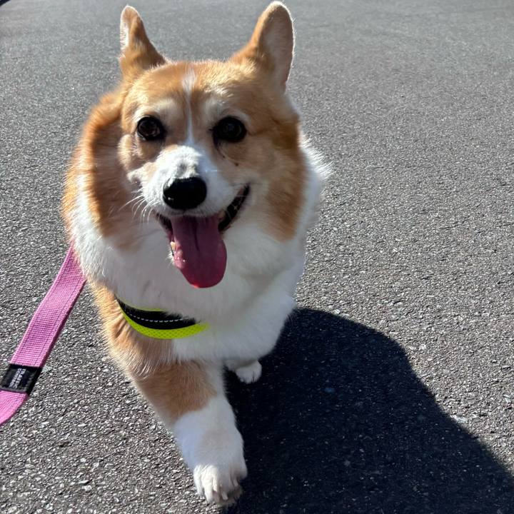 1d32643e de2c 45b5 8058 89ddd94d97bd 1739072741732