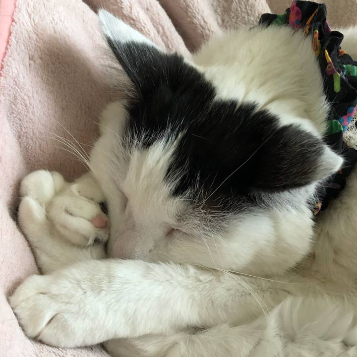 1d330e29 95fc 429b ad3a e1c20cd69bf6 1550445634607