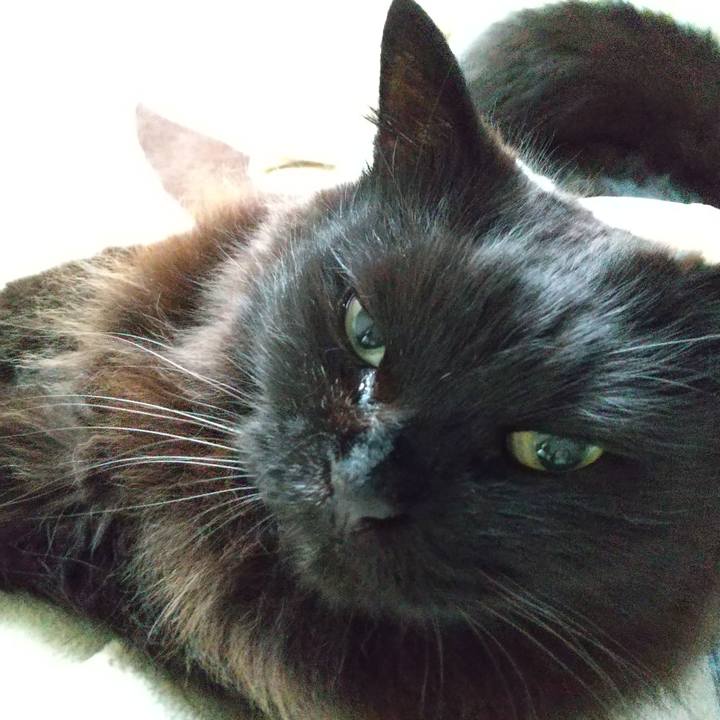 1d330f53 0864 4874 b3be 8ede18ef5630 1583820744432