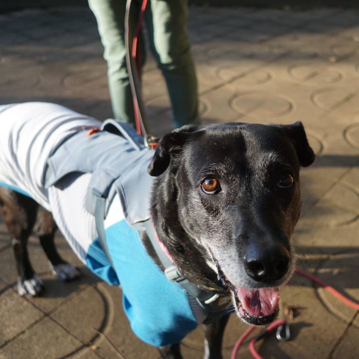 1d330f6c 3e89 4a4a a9cf a9c31f959eb5 1763079943061