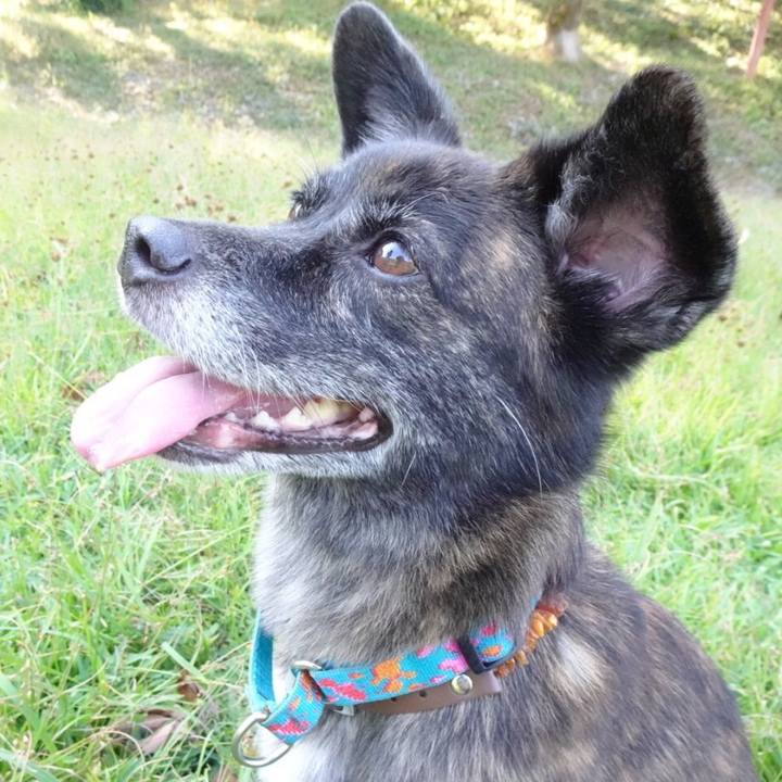 1d333912 0021 4279 9892 465a8cfc0e27 1570281127655