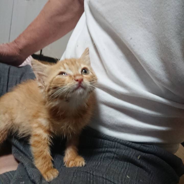 1d3343be 7966 4c60 b119 e9cf2dbb14fd 1627780961548