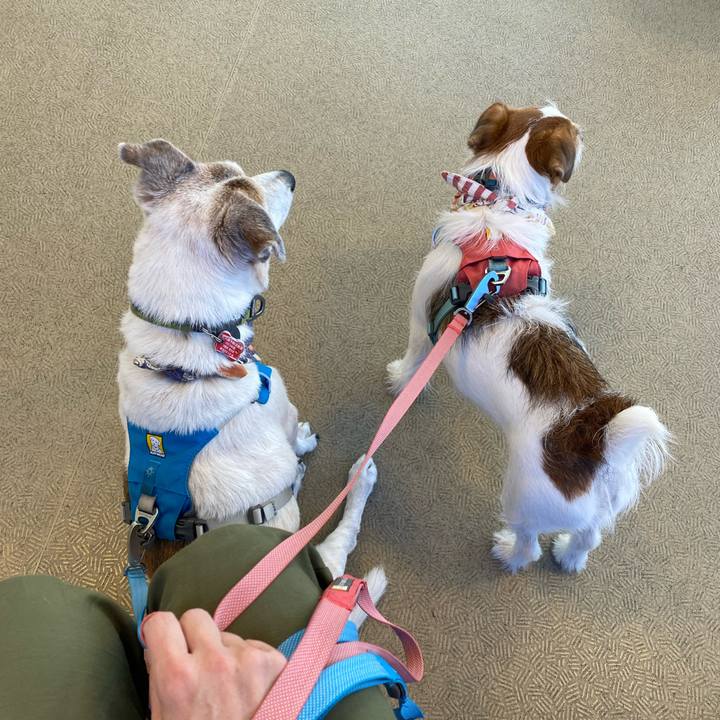 1d336e71 eb76 422a 84ce 8fa5e9316474 1693703739804