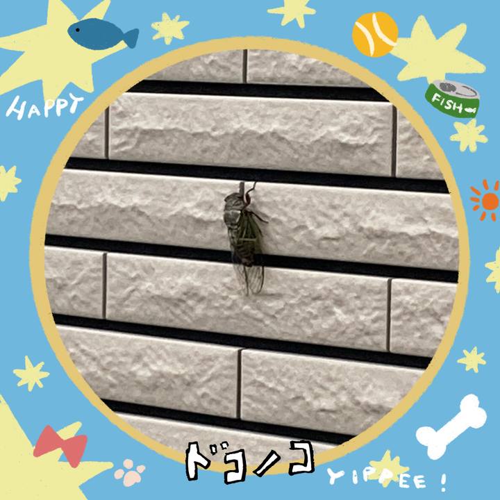 1d33d540 39e3 4b66 9052 6c03bb25998c 1720750590728