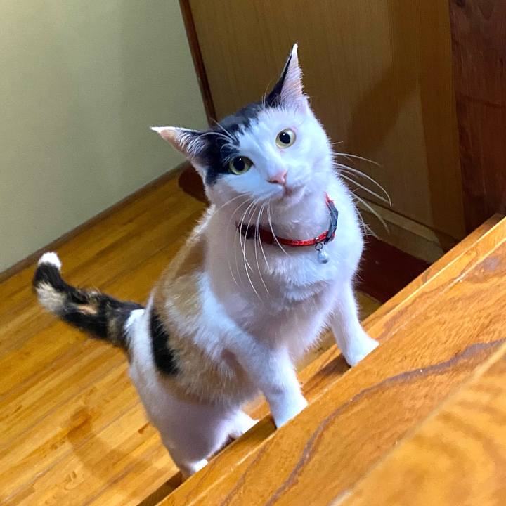 1d33e369 7823 43ea a093 d0234e3d6f42 1656076069697