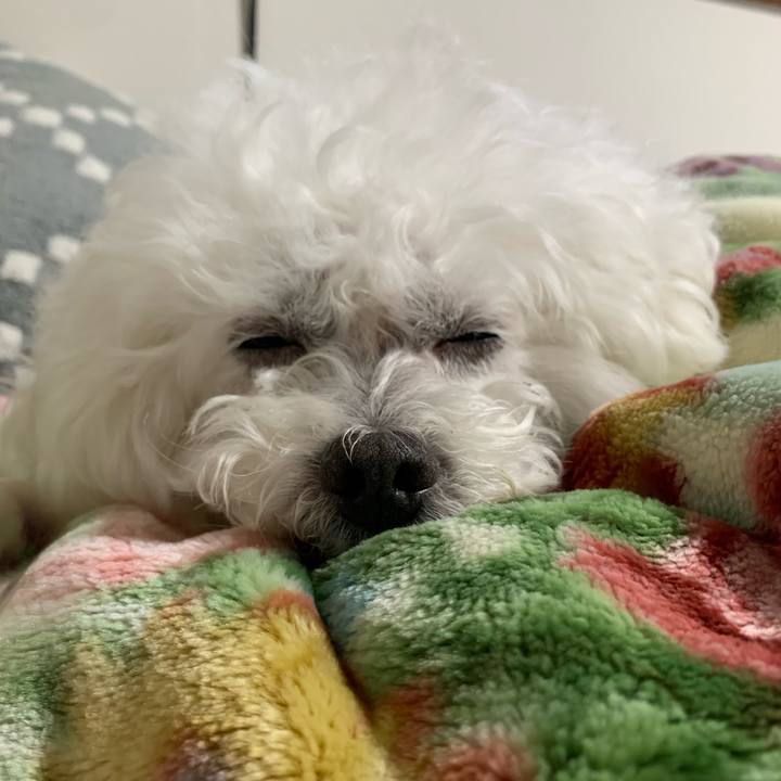 1d33fd7f 1787 488b 8726 39e1a9d03d7e 1706226226129