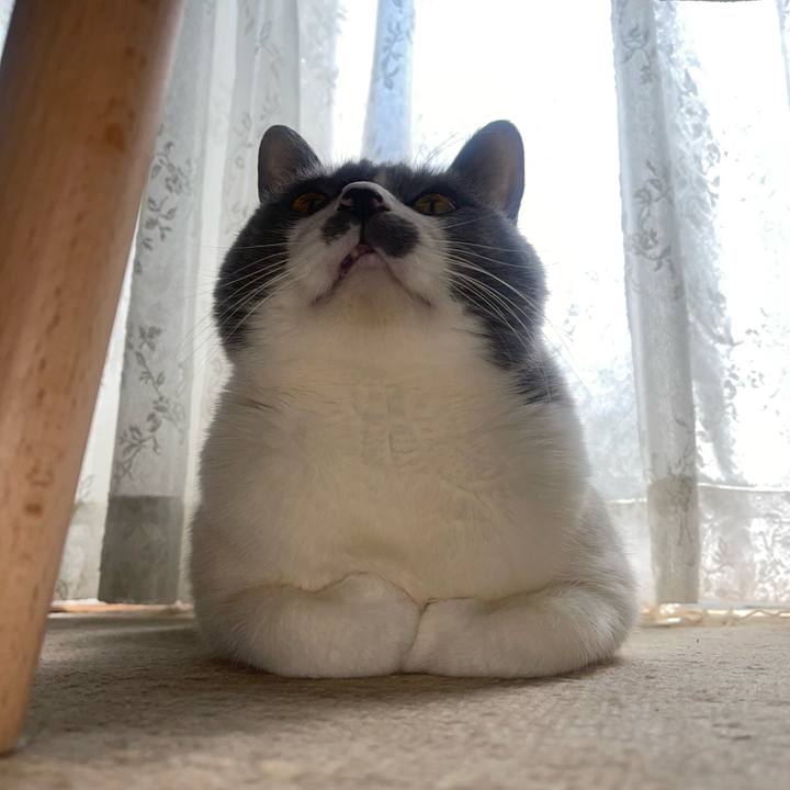 1d340327 de65 4ef6 b706 c53e680dd364 1741241318670