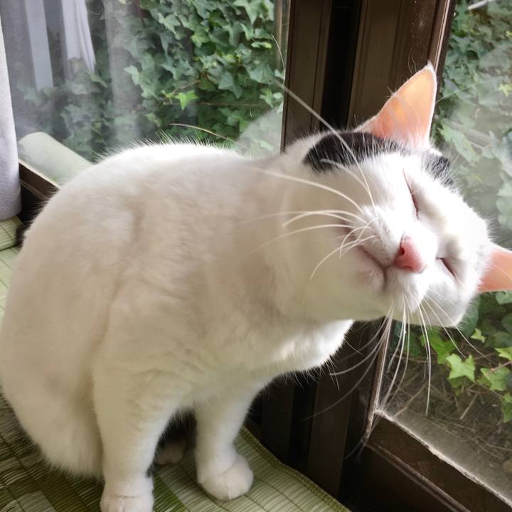 1d3420a3 92bc 4712 9070 5167d279013e 1575358281307