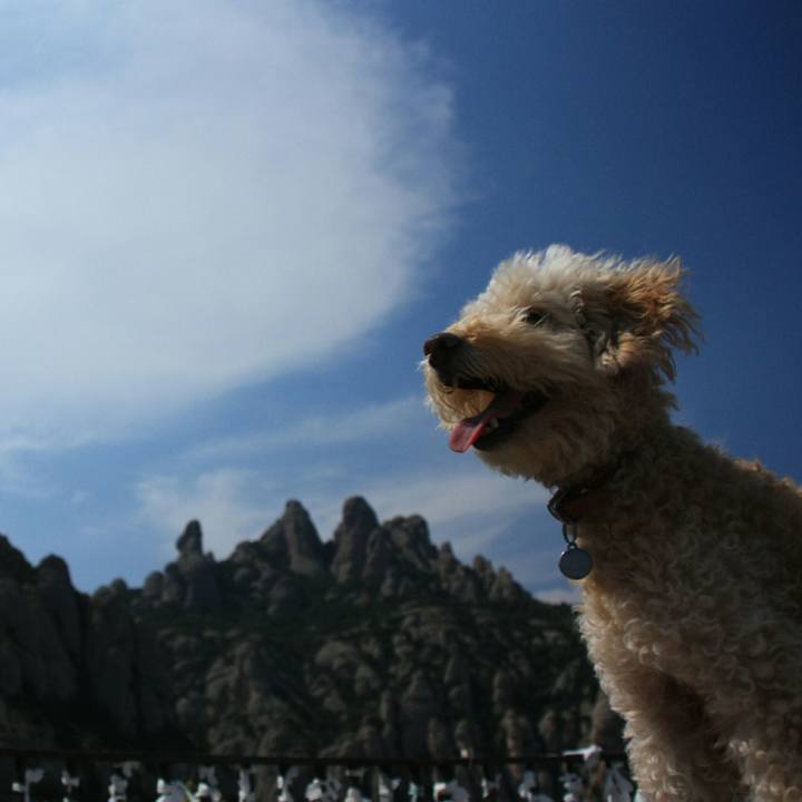 1d34262a dc6c 4097 928e 759a410227ef 1534744110681