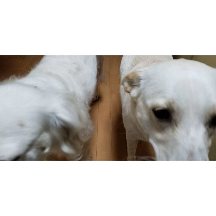 1d342893 c29b 4b20 8957 40889fac2e26 1613226483977