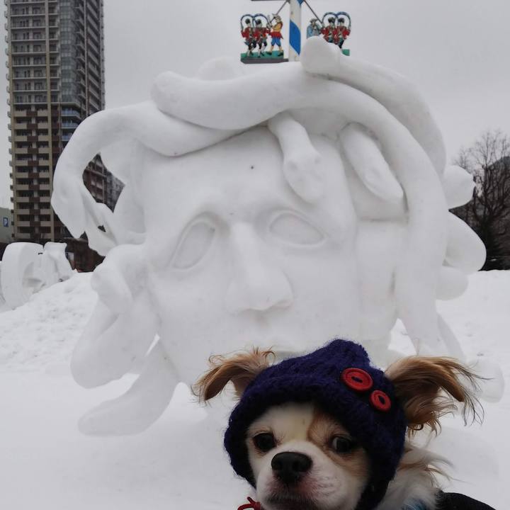 1d342f5b 7a01 42a0 8698 85dc577ed6a5 1675569271752