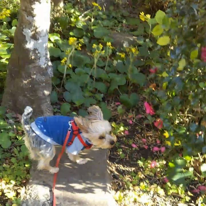 1d349e7e 391d 4cd0 bbf1 226eb7b8edca 1640082728020