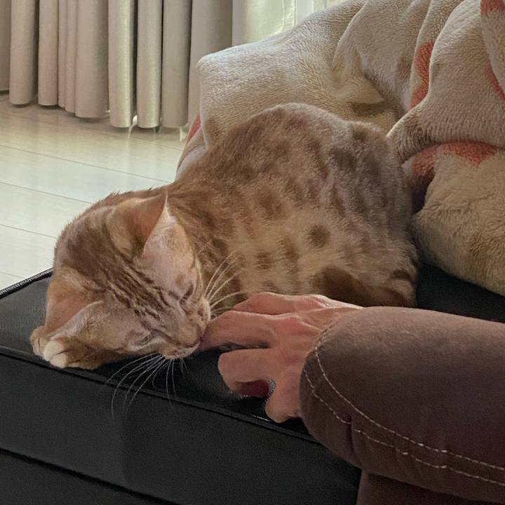 1d34b7c6 e0f0 4691 aaa5 7dc2b187006b 1601594377713