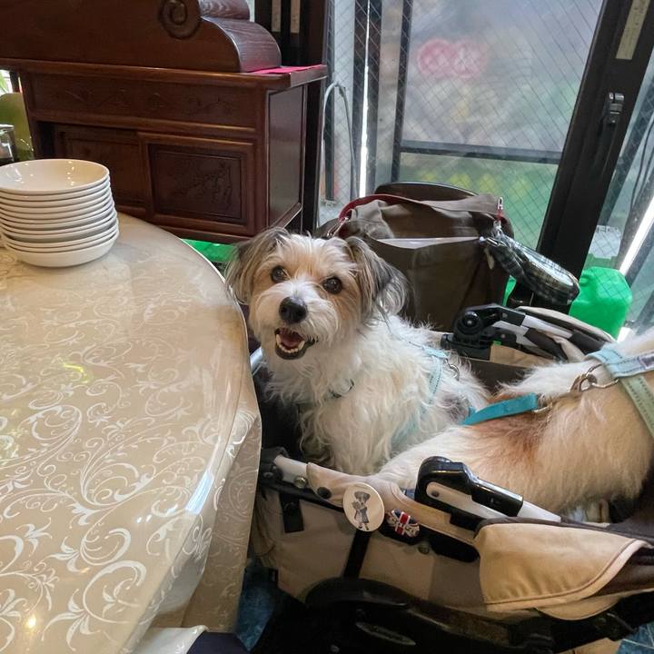 1d34ba48 cf2e 484e 8602 cd1f6374163e 1776719455837