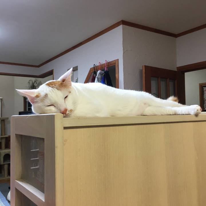 1d34decd 7021 4d3b a910 97501e8f5e35 1530532064741