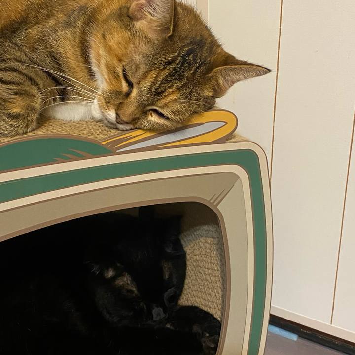 1d34e1fc 5d62 4f8b adce ded1784f0d4c 1631449031696