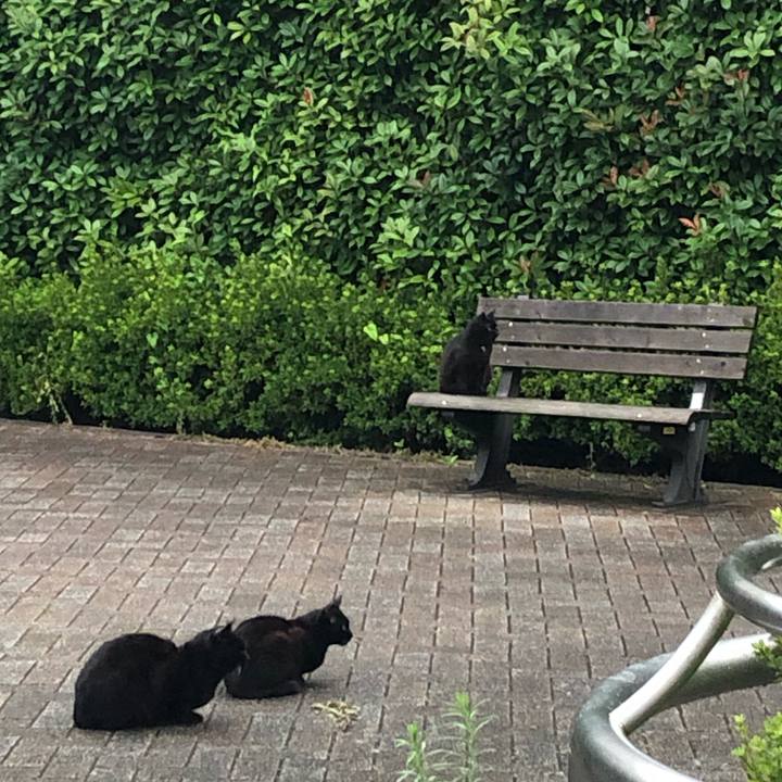 1d34f1bd a814 4326 8027 3aecd6907ca1 1562344278937