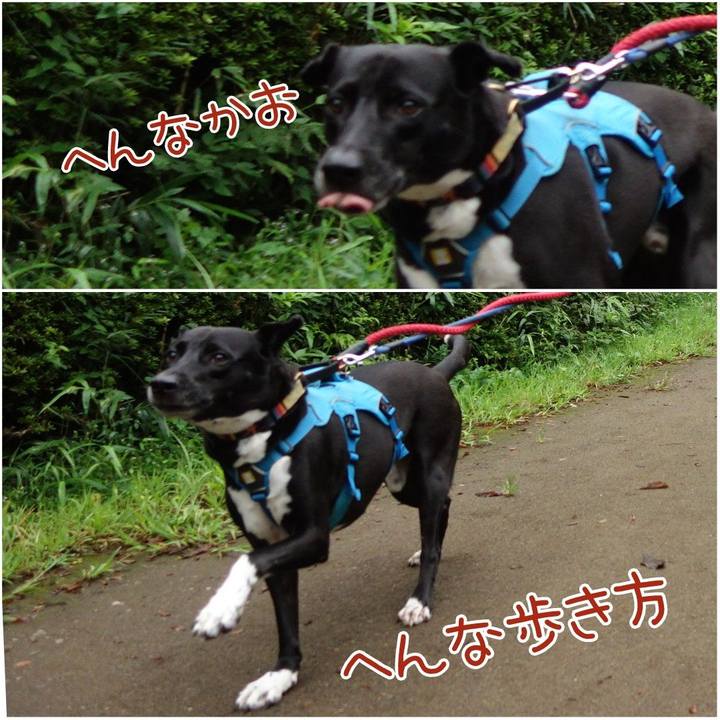 1d351726 9ded 45f2 b339 d288ddd97656 1631406089533