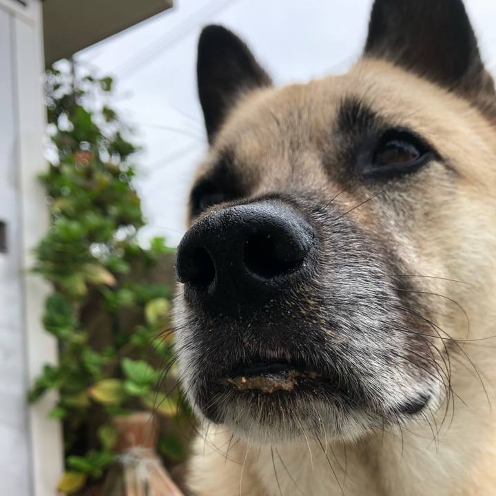 1d351b0e d8d2 40db 92b4 8f787e3939bd 1631540812060