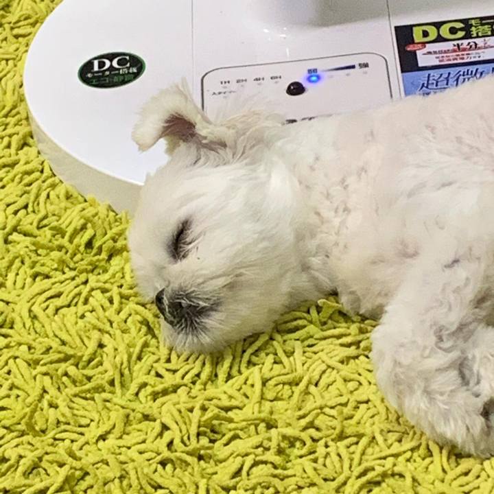 1d355465 3ee5 4742 a401 57b26d7f05f9 1655735710487